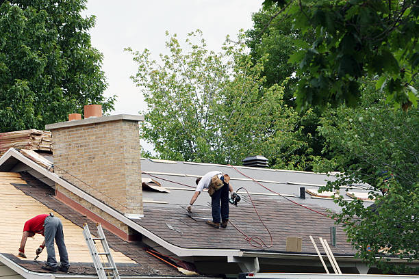 Best Roof Maintenance Services  in Neshanic Station, NJ